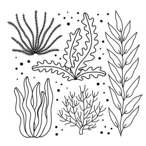 Plantas Acuaticas Agua Vectores, Ilustraciones y Gráficos - 123RF